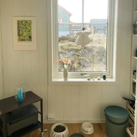 Feriehus Experience Northern Lights With Barents View Gamvik (Troms)