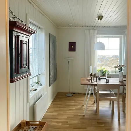 Experience Northern Lights With Barents View *