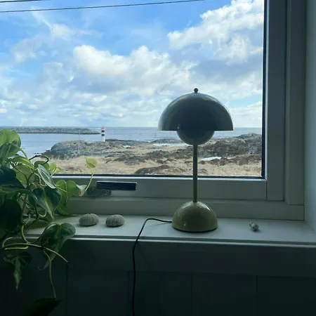 Experience Northern Lights With Barents View Feriehus *