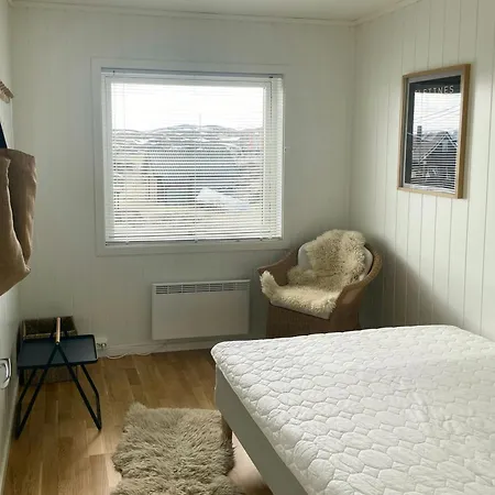 Experience Northern Lights With Barents View *